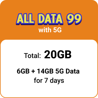 ALL DATA 99 w/ 5G DATA